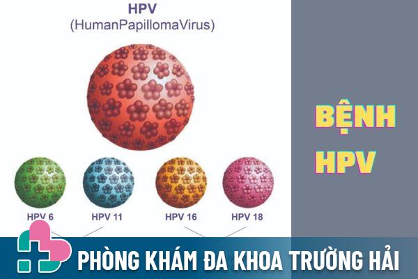 Virus HPV có nhiều loại khác nhau