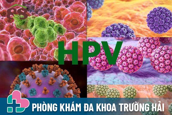 Sùi mào gà do virus HPV xâm nhập và lây nhiễm