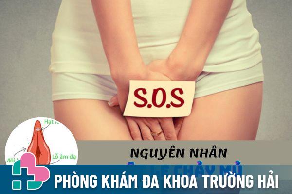 Hột le chảy mủ – Dấu hiệu cảnh báo bệnh xã hội đáng lưu ý