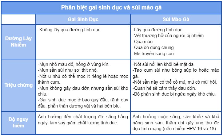 Phan-biet-nhanh-gai-sinh-duc-va-sui-mao-ga-1