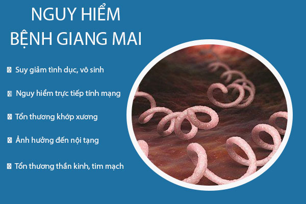 Tac-hai-benh-giang-mai