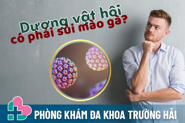 Duong-vat-hoi-co-phai-sui-mao-ga