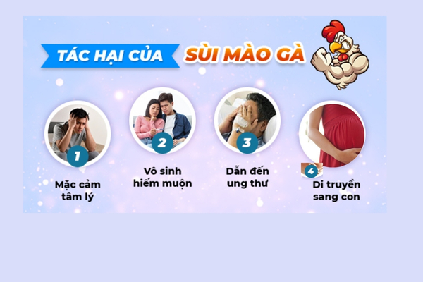 Tac-hai-sui-mao-ga