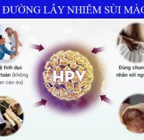Con-duong-lay-nhiem-benh-sui-mao-ga