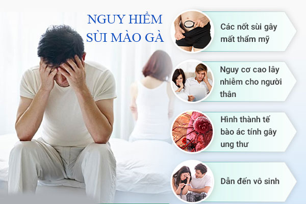 Nguy-hiem-sui-mao-ga