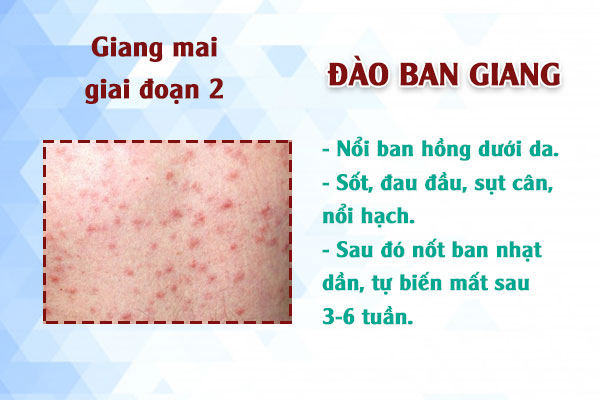 Giang-mai-gd2